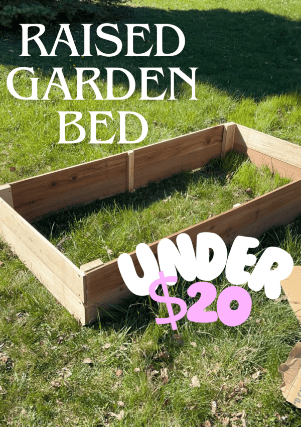 How to Make a Raised Garden Bed for Under $20!